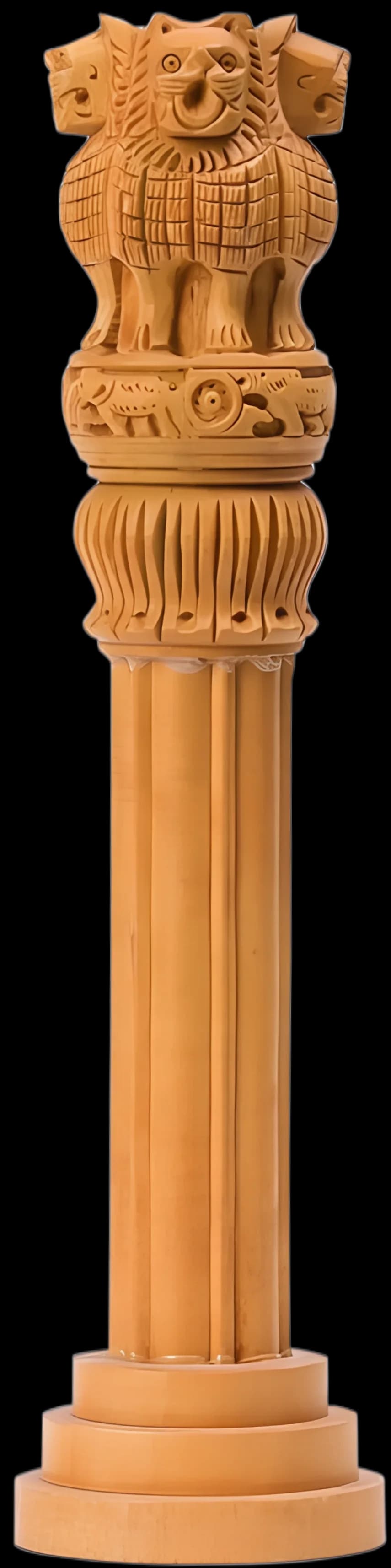 Ashoka Pillar